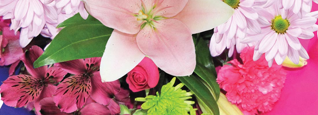 Assorted pink flowers.