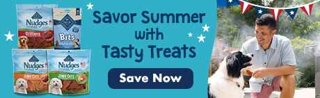 Stock up on the tastiest treats to make your best friend’s summer even sweeter!
